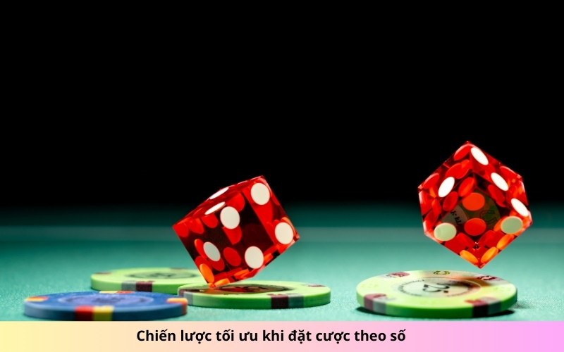 Chiến lược tối ưu khi đặt cược theo số