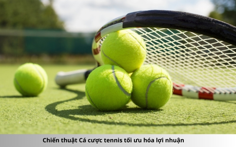 Chiến thuật Cá cược tennis tối ưu hóa lợi nhuận