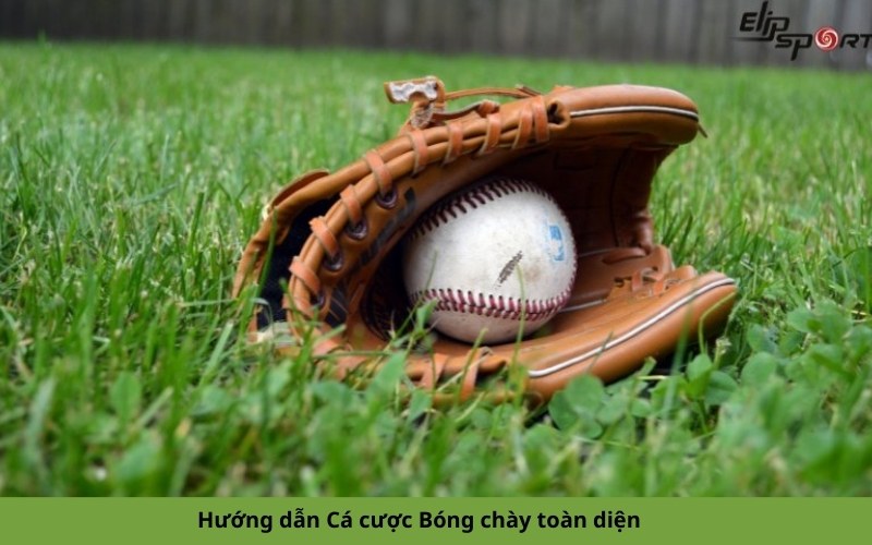 Hướng dẫn Cá cược Bóng chày toàn diện