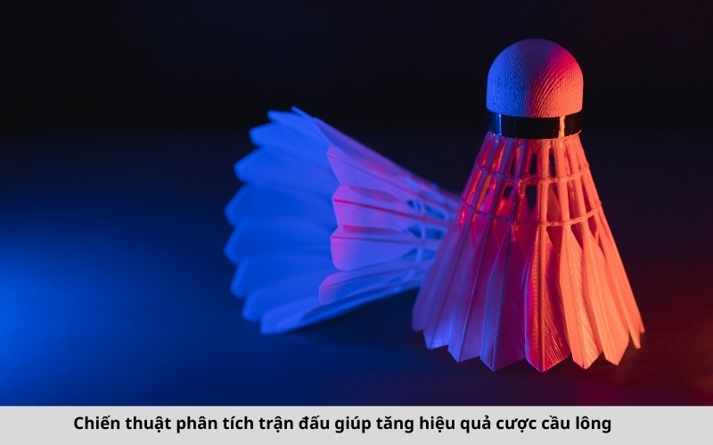 Chiến thuật phân tích trận đấu giúp tăng hiệu quả cược cầu lông