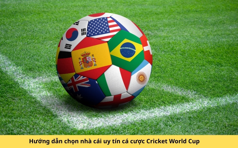 Hướng dẫn chọn nhà cái uy tín cá cược Cricket World Cup